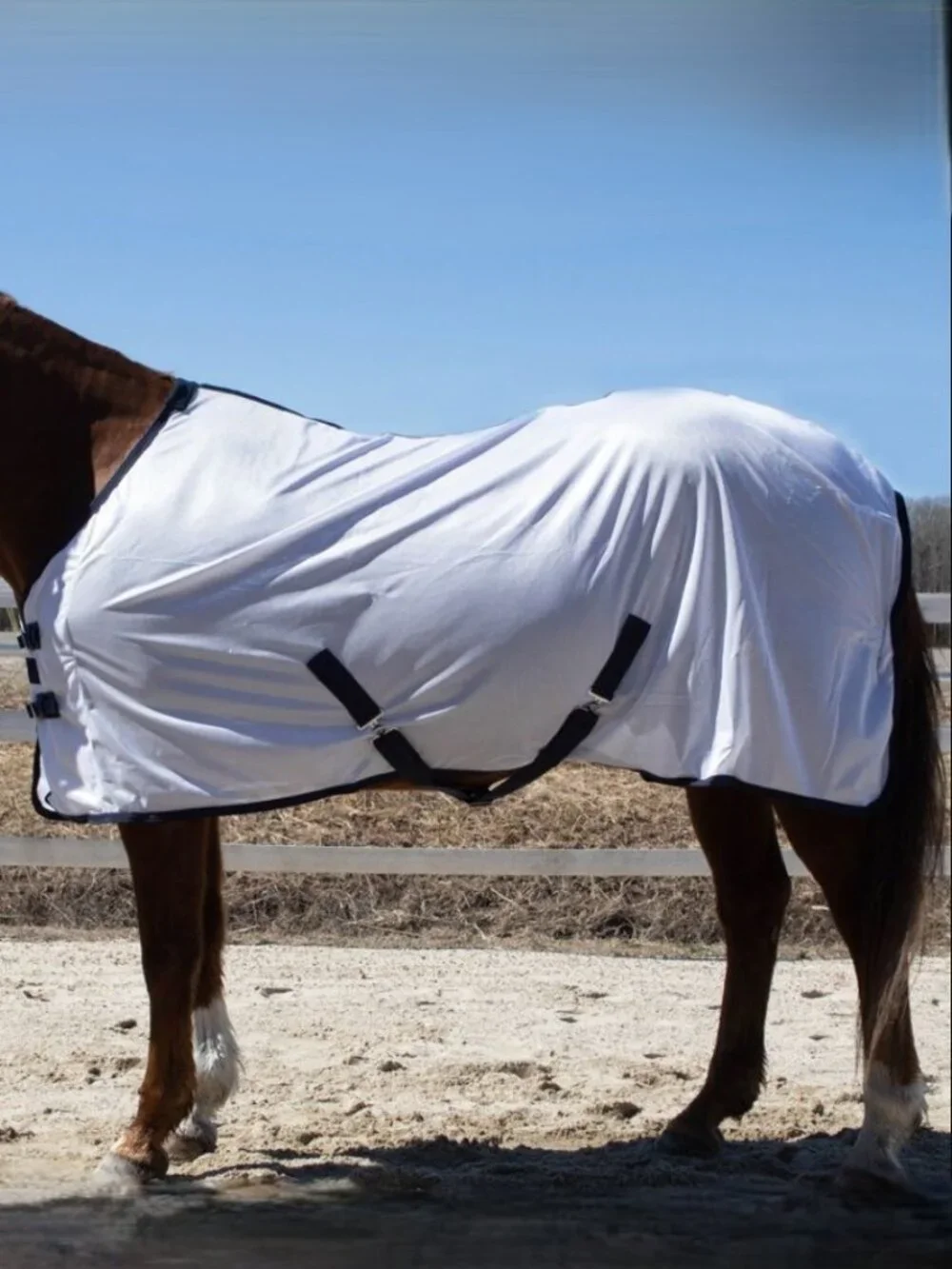 NEW RUGGED RIDE Soft Mesh Standard Neck Horse Fly Sheet with Leg Straps size 75 - Picture 2 of 5